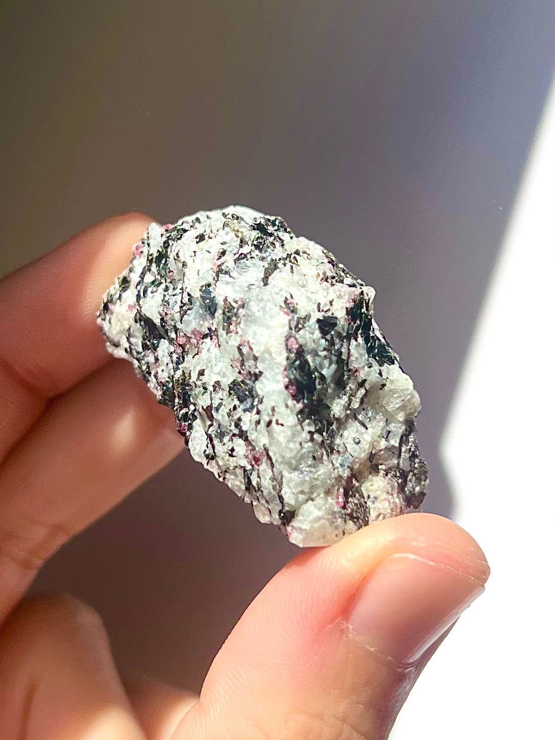 Spécimen Cyanite / Grenat / Biotite / Albite / Quartz 9