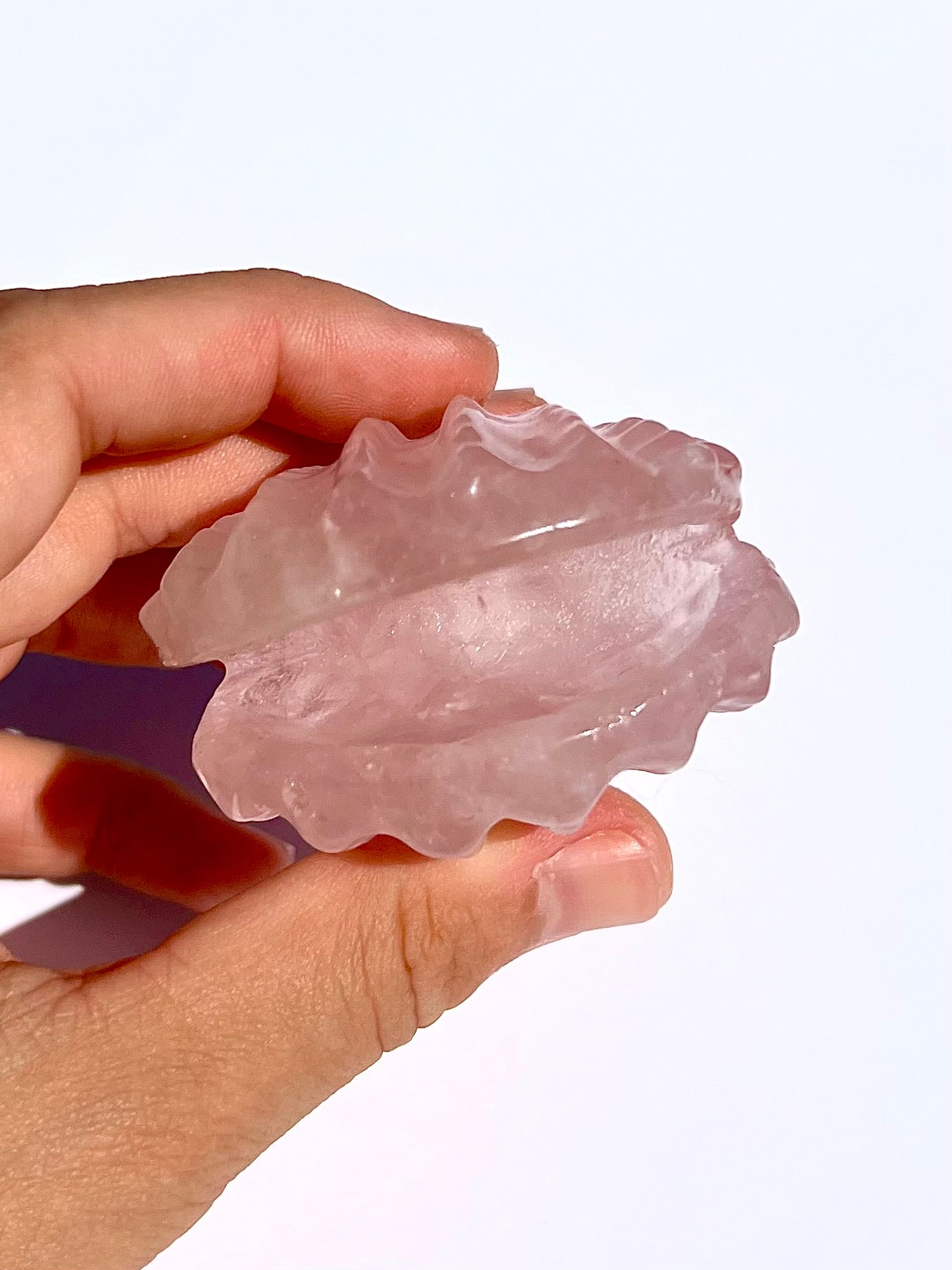 Coquillage en Quartz rose 1