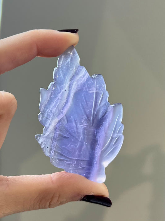 Feuille en Fluorite 3