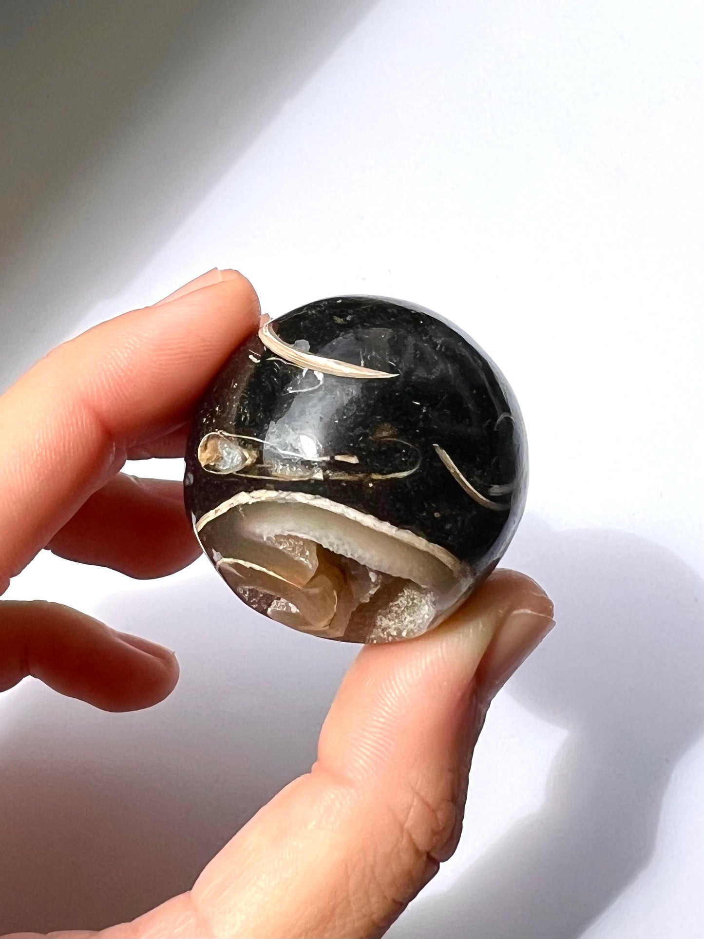 Sphère en Agate fossile Turitelle 1