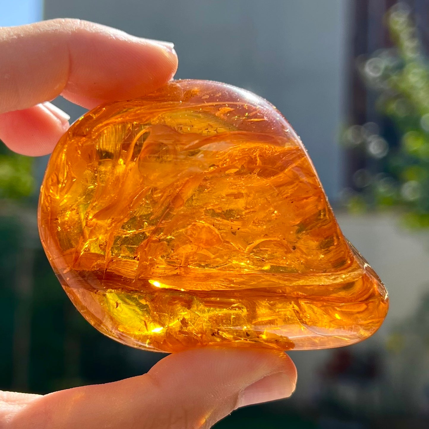 Ambre 1
