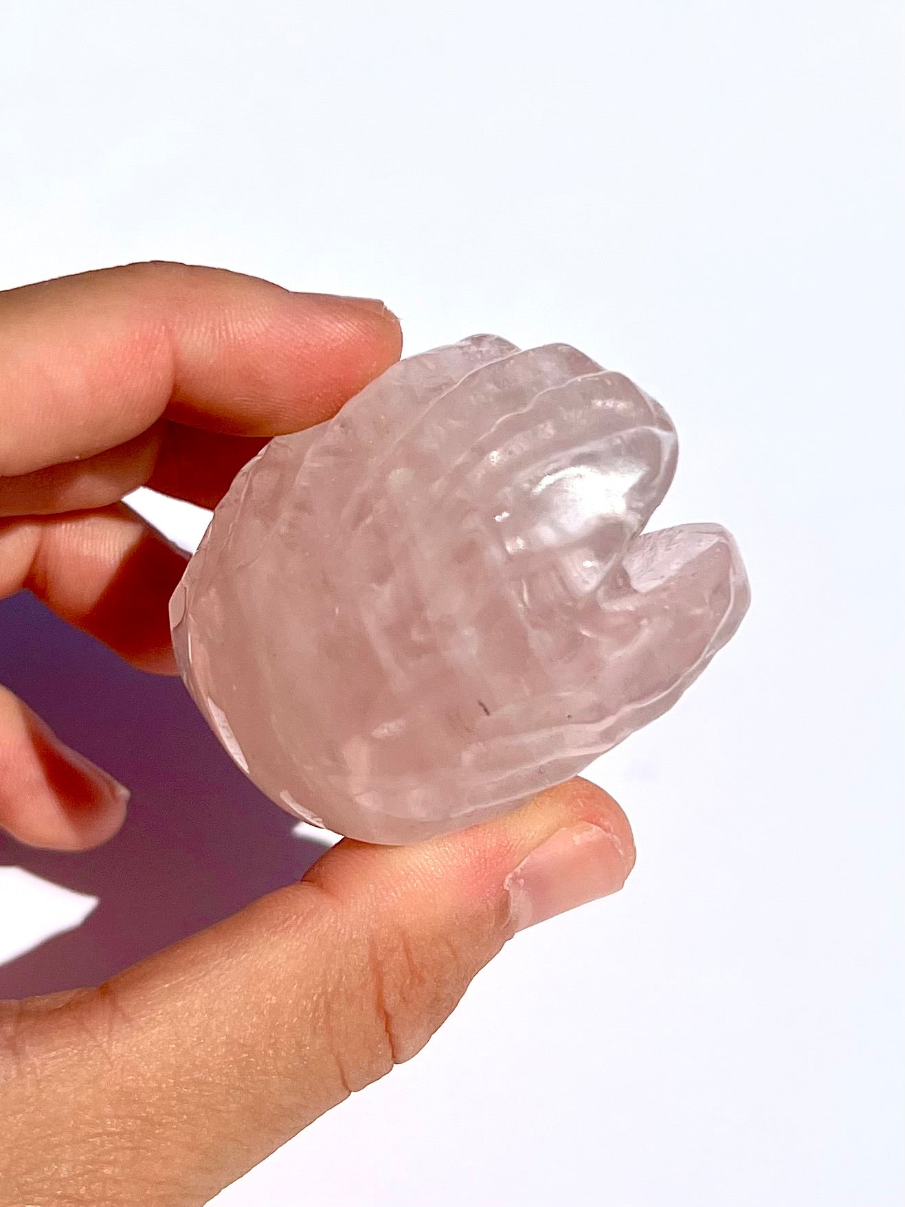 Coquillage en Quartz rose 2