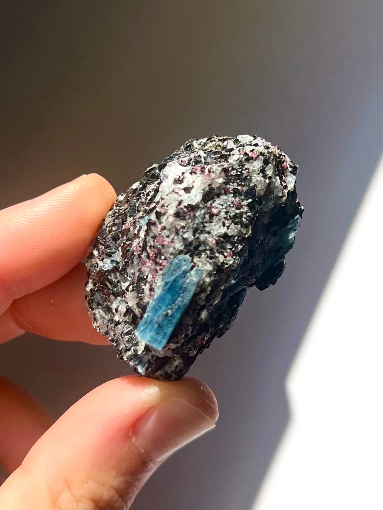 Spécimen Cyanite / Grenat / Biotite / Albite / Quartz 11