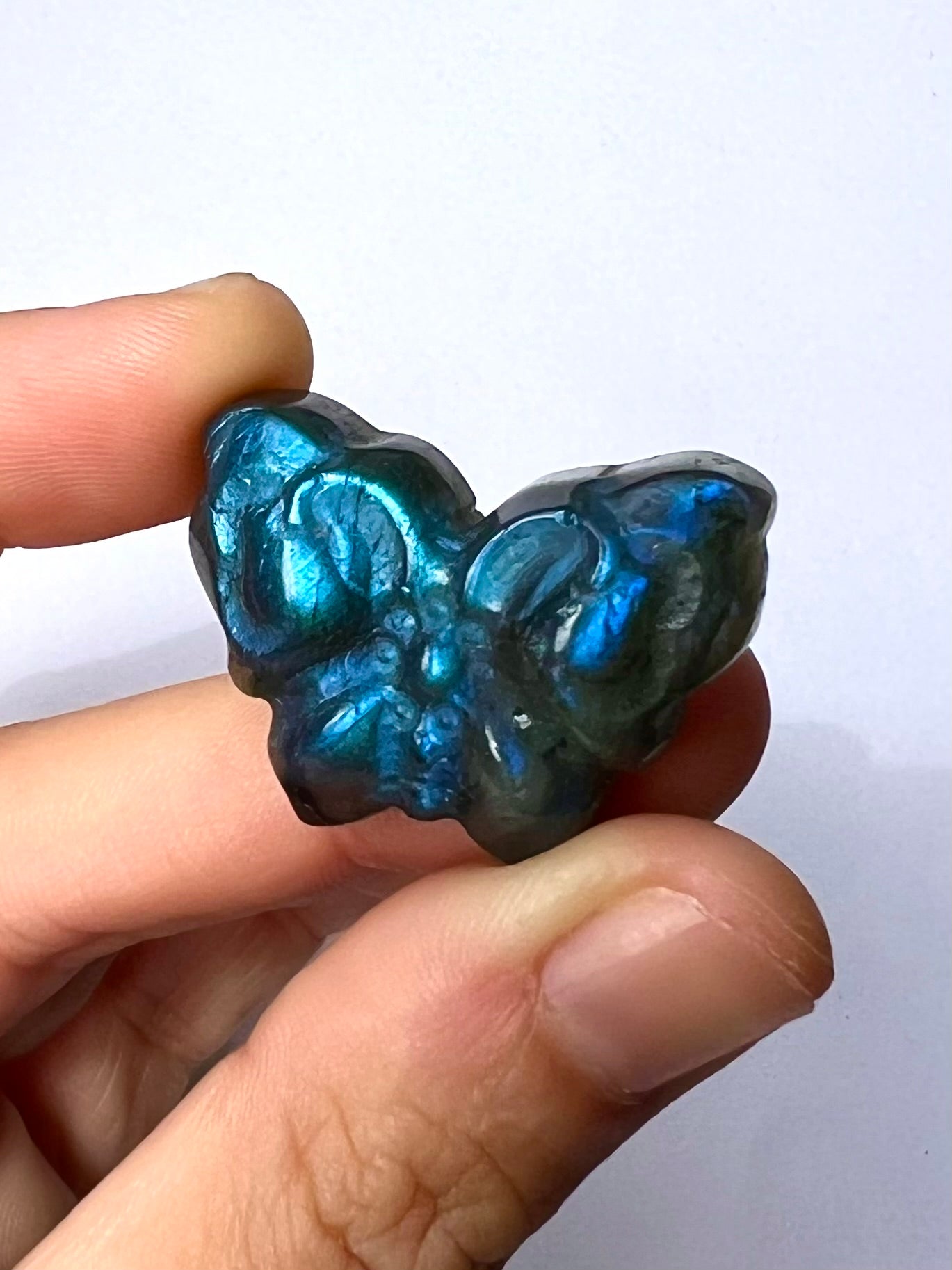 Papillon en Labradorite 1