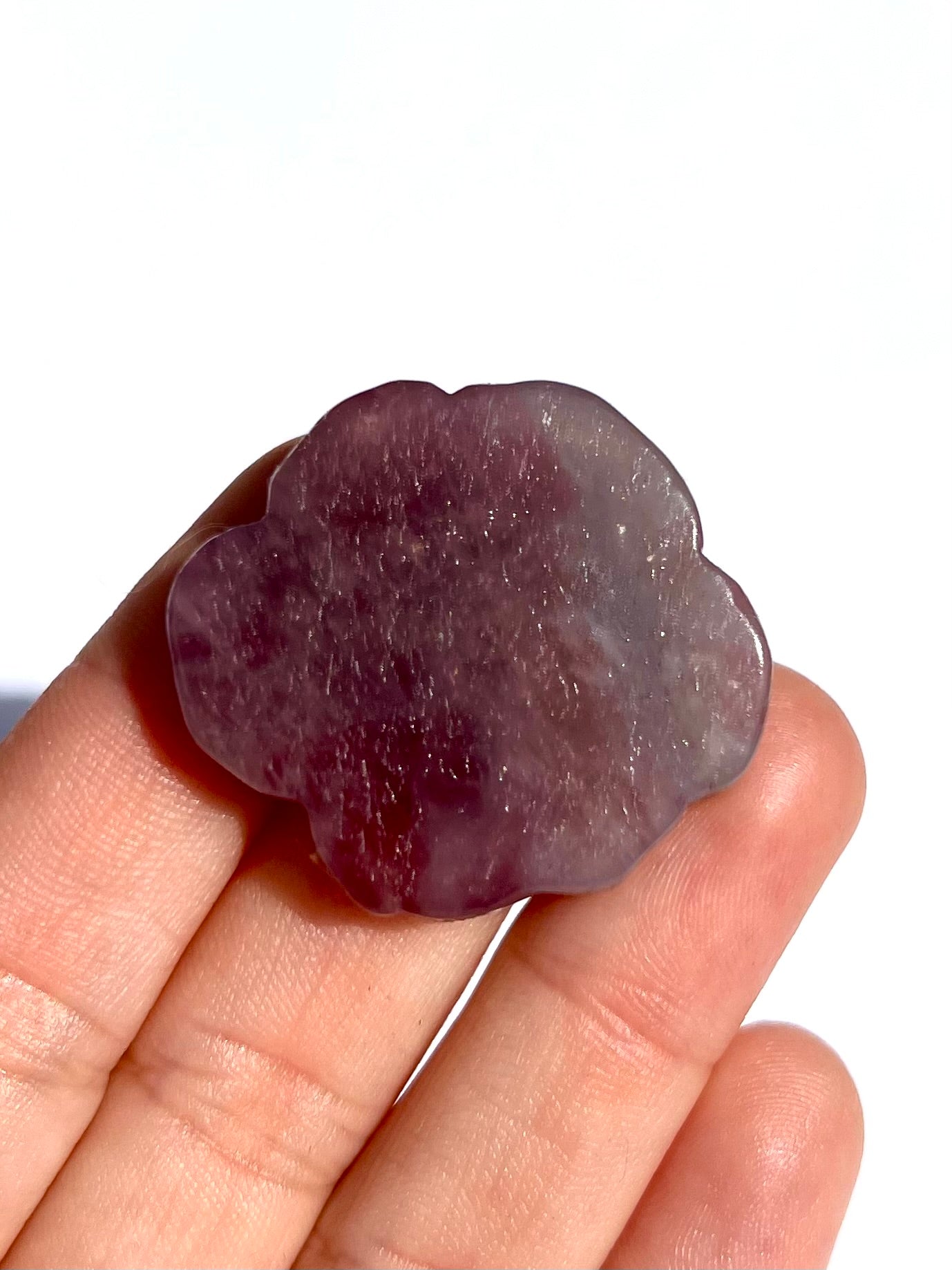 Rose en Quartz rose 5