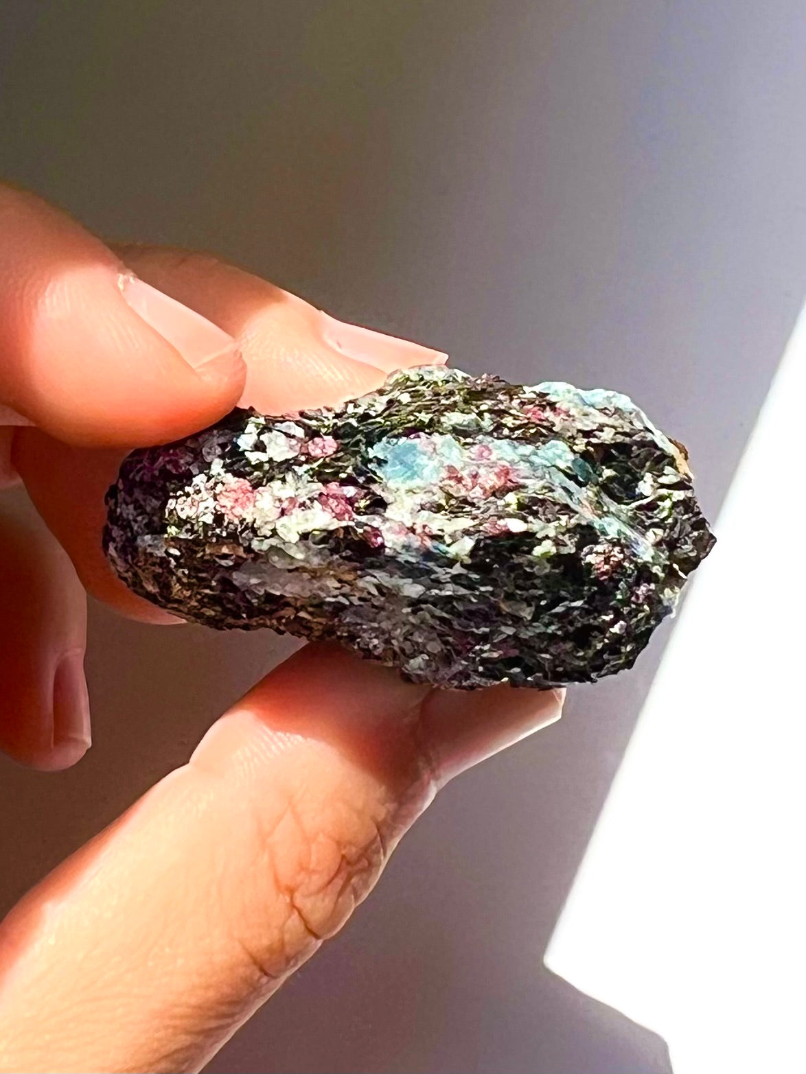 Spécimen Cyanite / Grenat / Biotite / Albite / Quartz 2