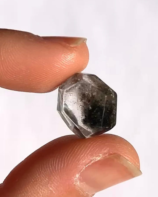 Lodolite / Quartz jardin 6