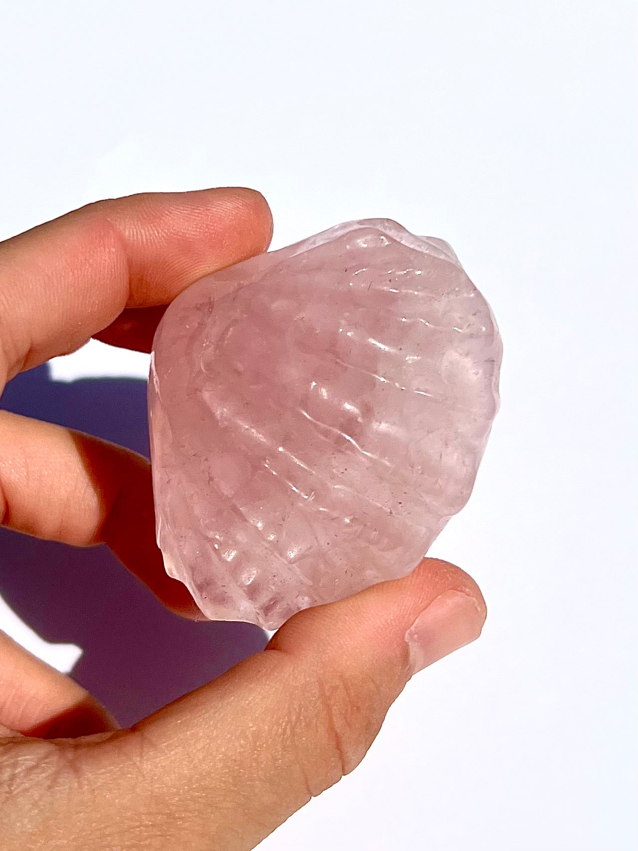 Coquillage en Quartz rose 1