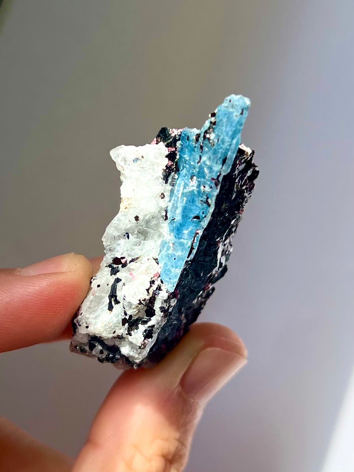 Spécimen Cyanite / Grenat / Biotite / Albite / Quartz 6