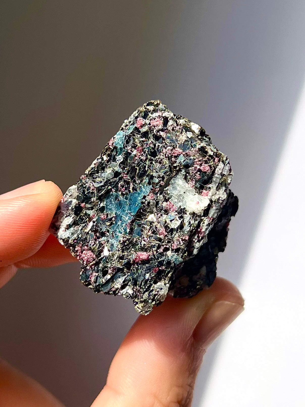 Spécimen Cyanite / Grenat / Biotite / Albite / Quartz 8