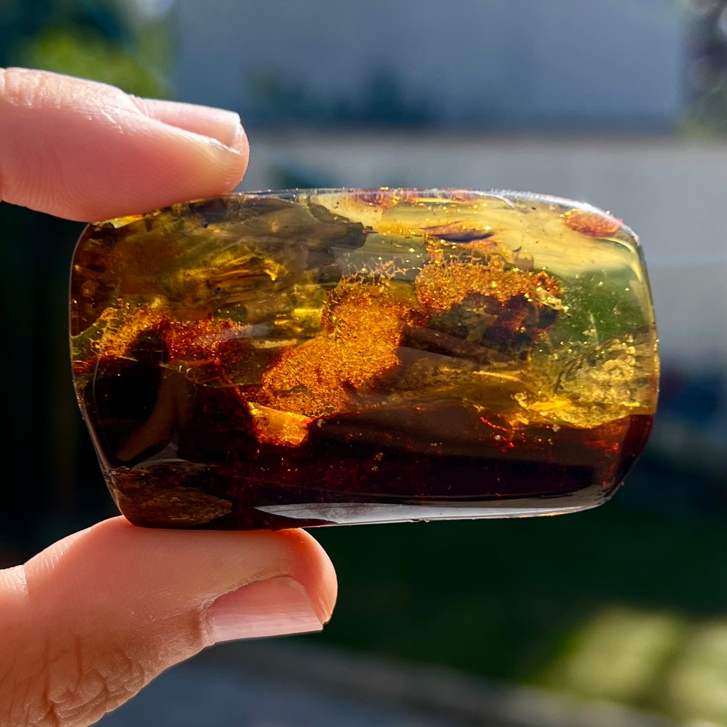 Ambre avec insecte 6
