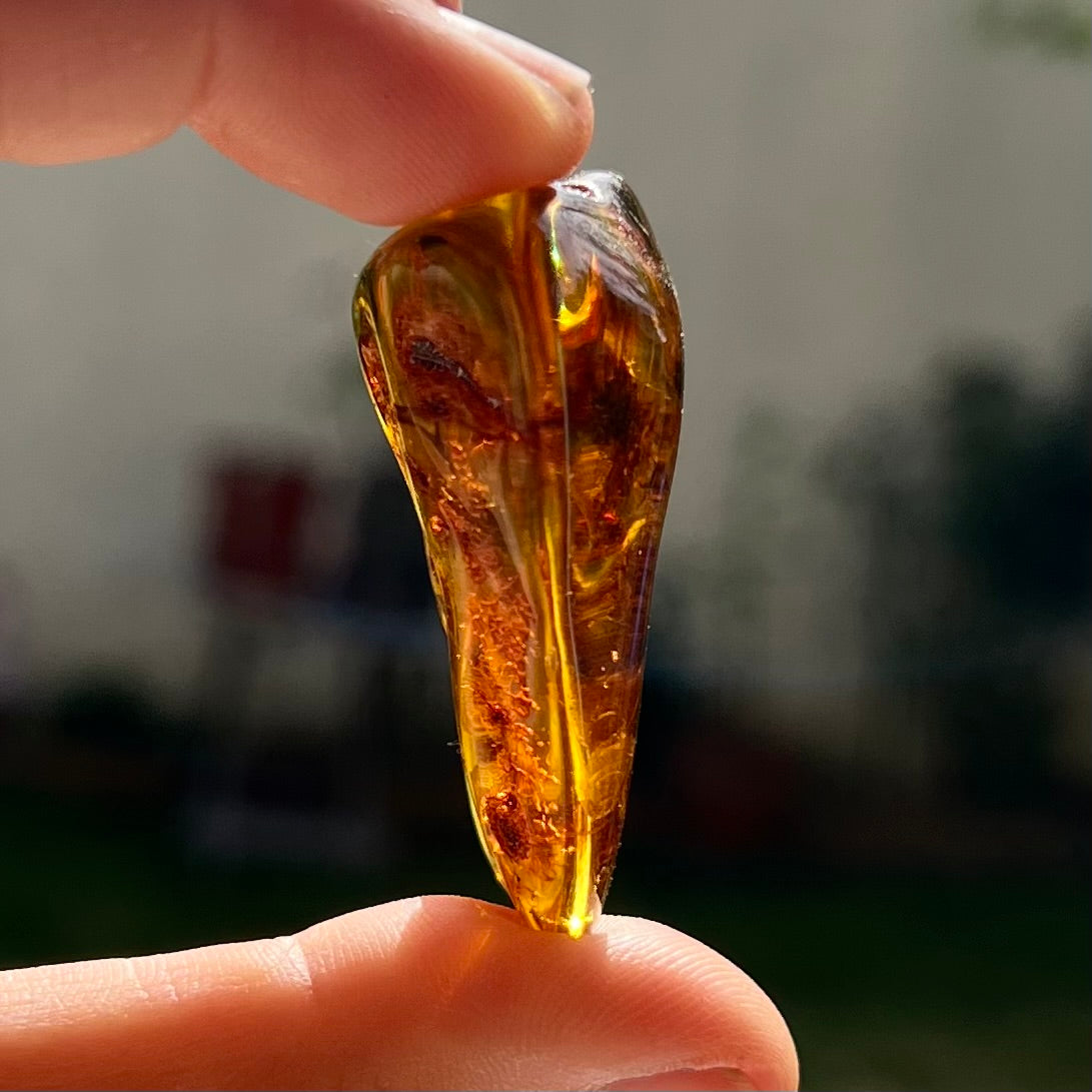 Ambre 10
