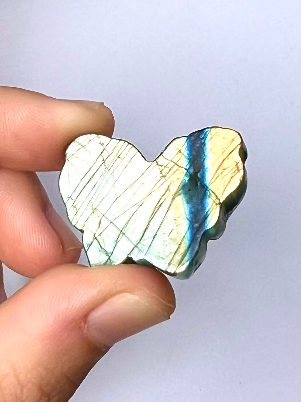Papillon en Labradorite 6