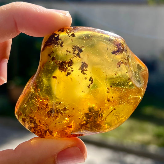 Ambre 3