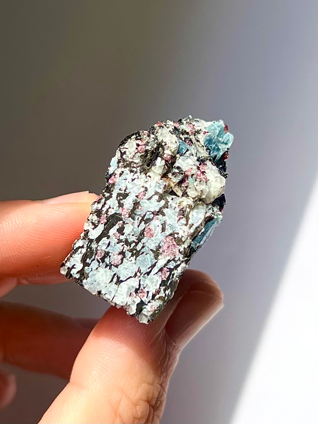 Spécimen Cyanite / Grenat / Biotite / Albite / Quartz 7