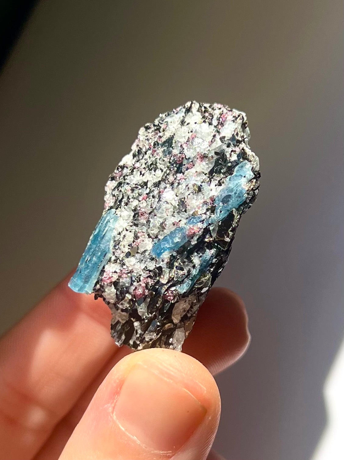 Spécimen Cyanite / Grenat / Biotite / Albite / Quartz 11
