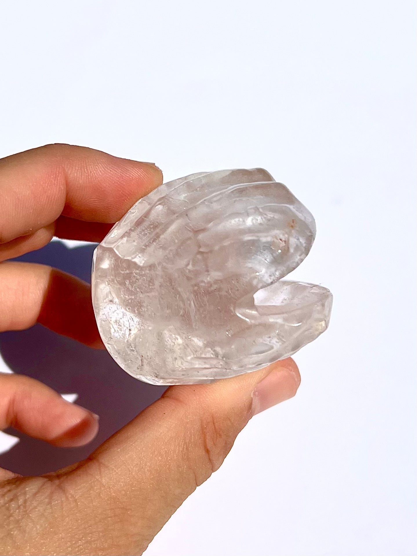 Coquillage en Cristal de roche 2