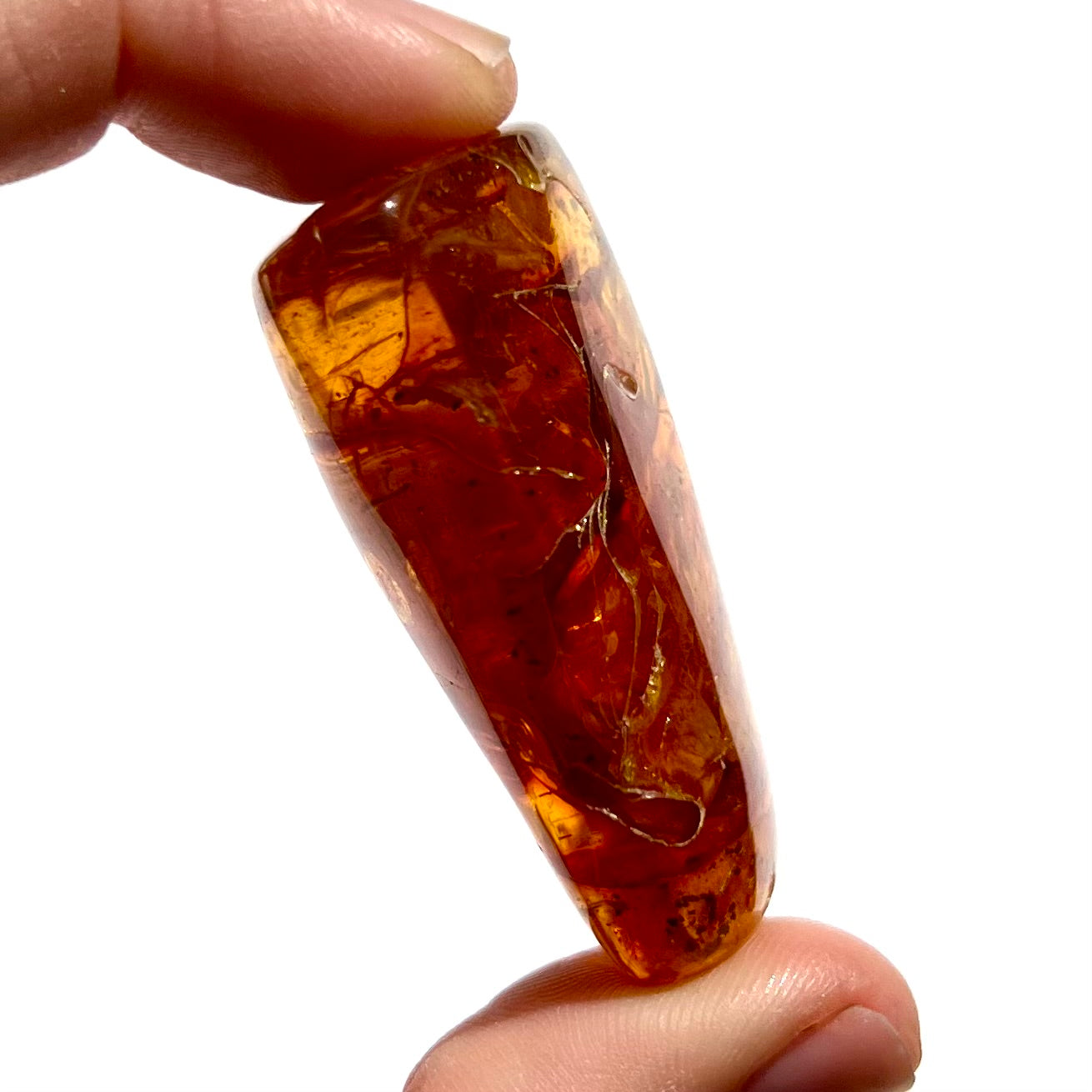Ambre 4