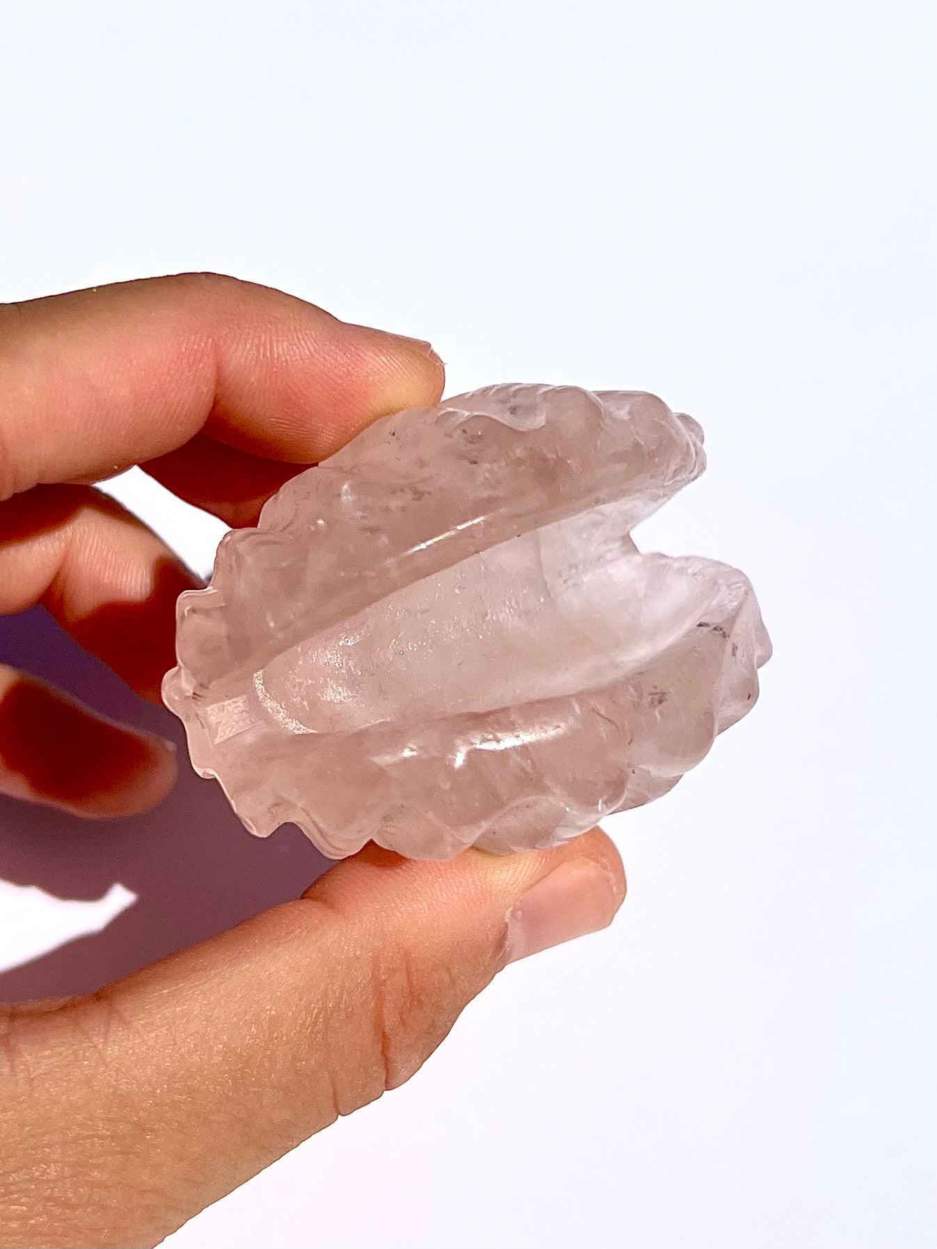 Coquillage en Quartz rose 2