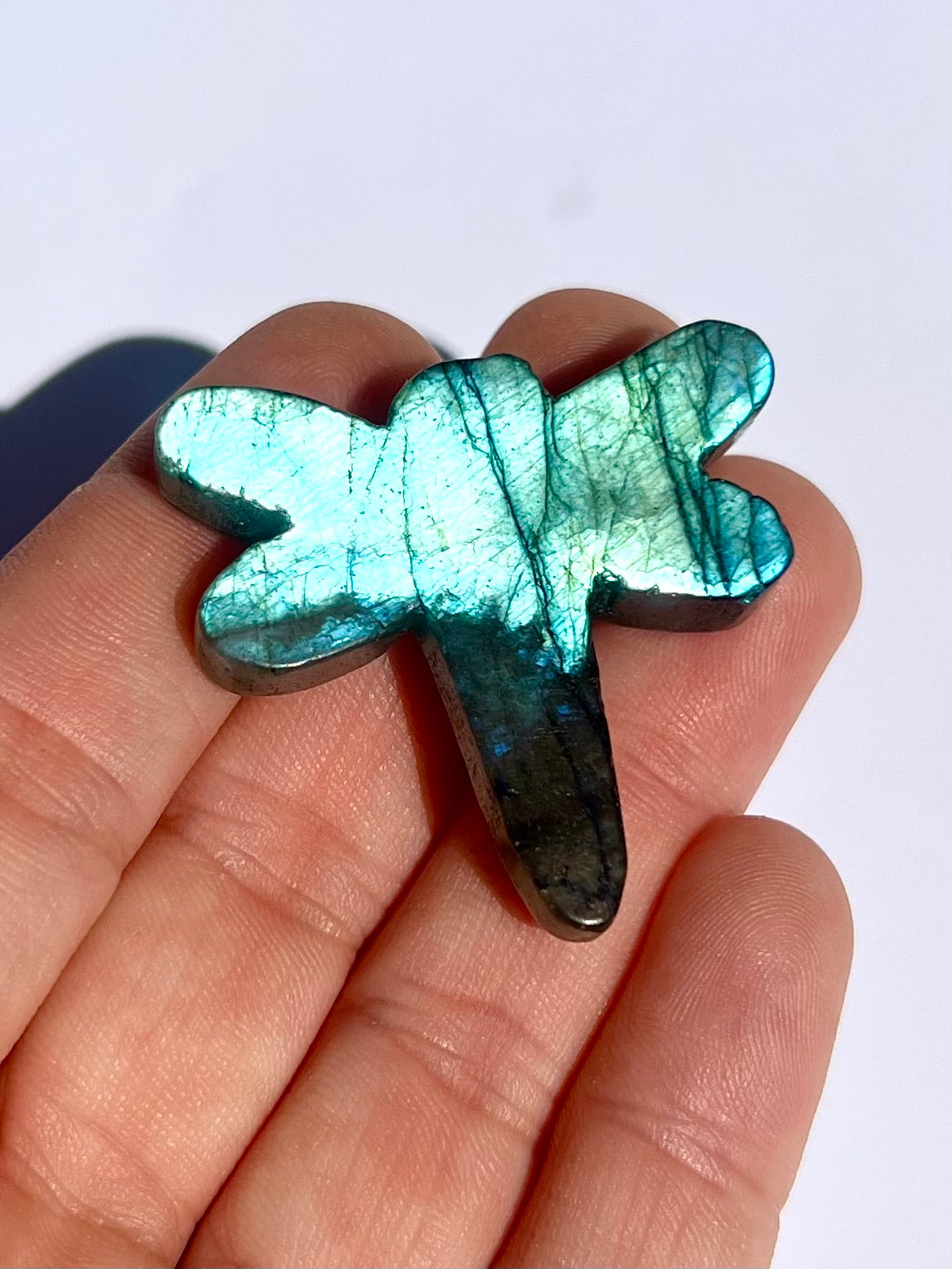 Libellule en Labradorite 2