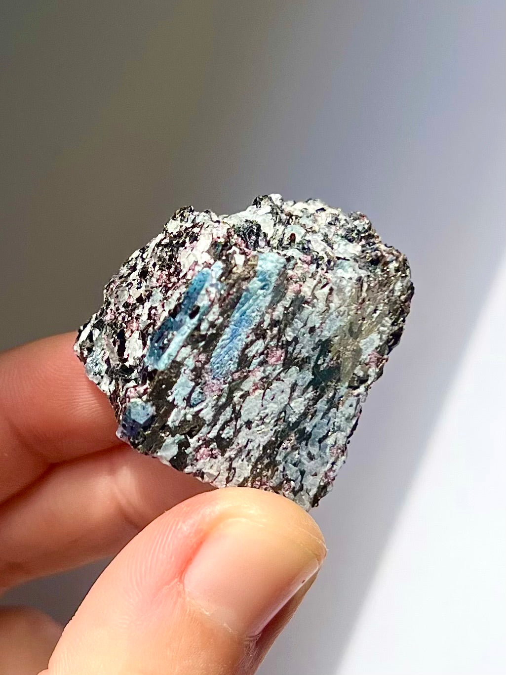 Spécimen Cyanite / Grenat / Biotite / Albite / Quartz 8