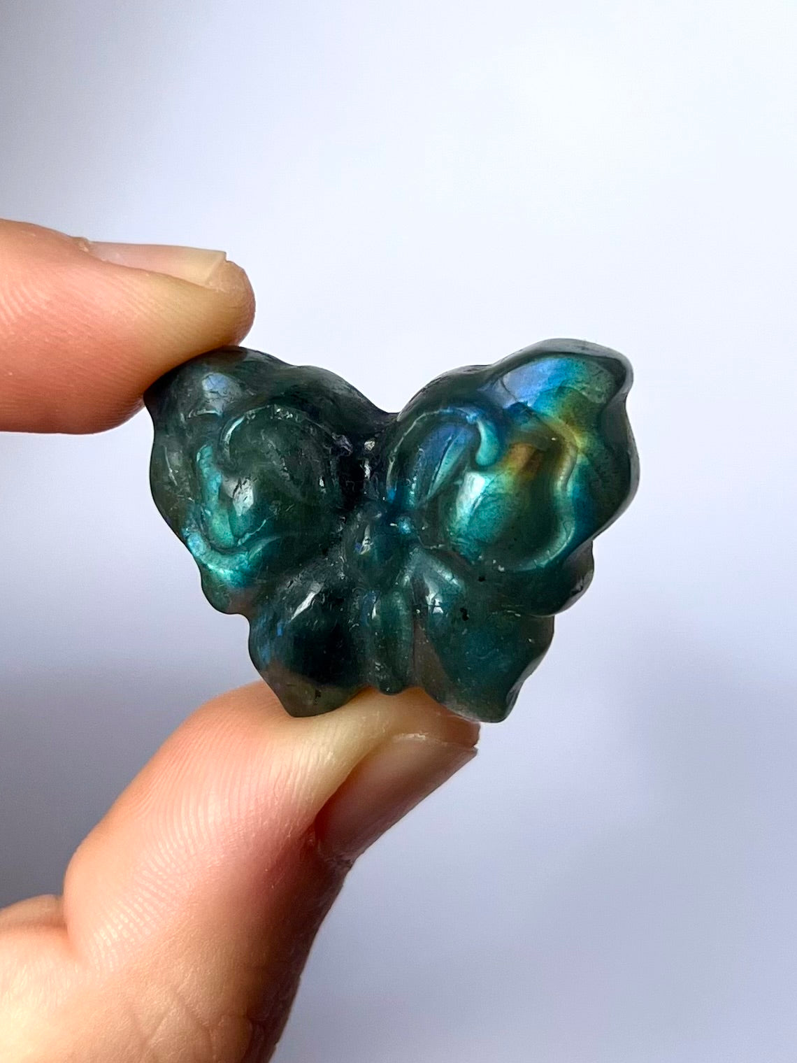 Papillon en Labradorite 5