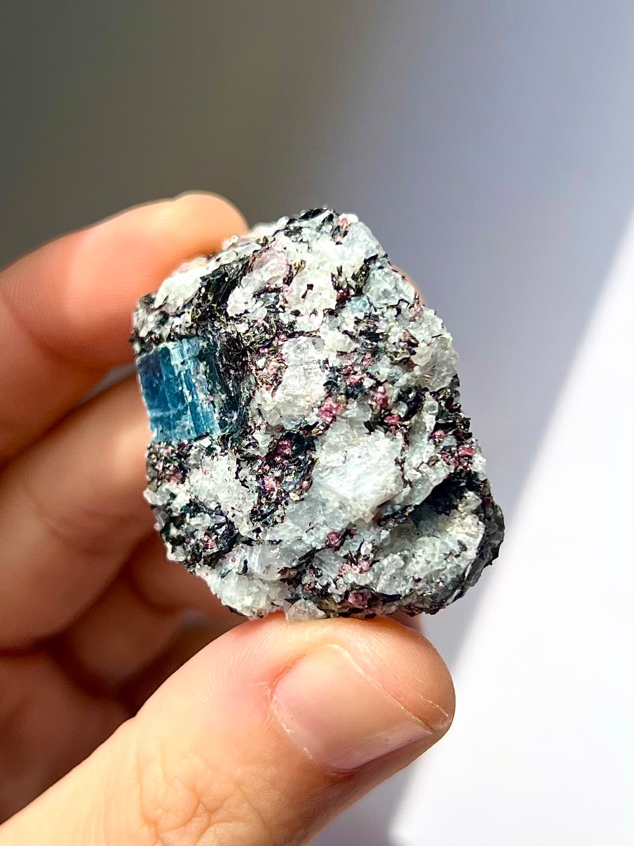Spécimen Cyanite / Grenat / Biotite / Albite / Quartz 9