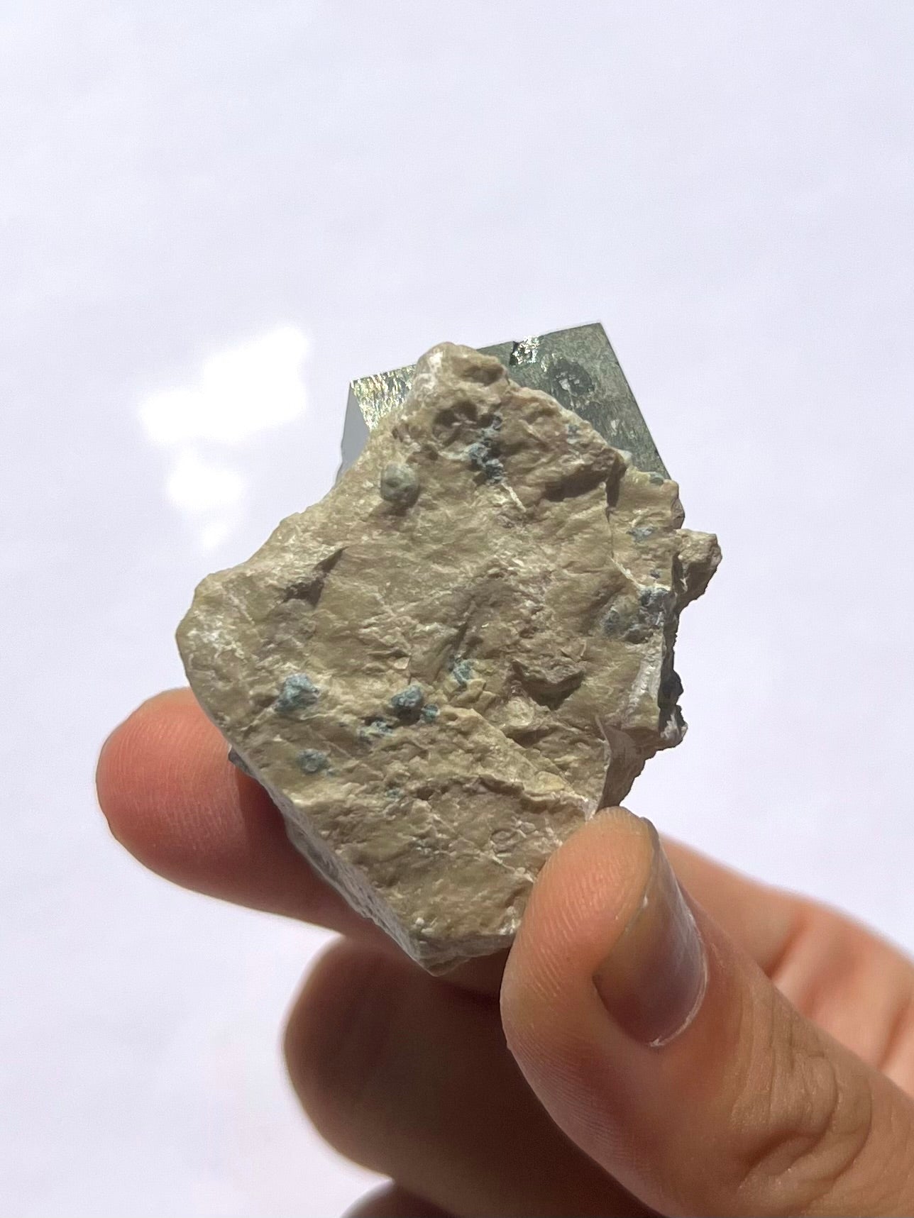 Pyrite cubique 10