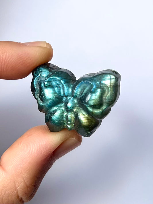 Papillon en Labradorite 3