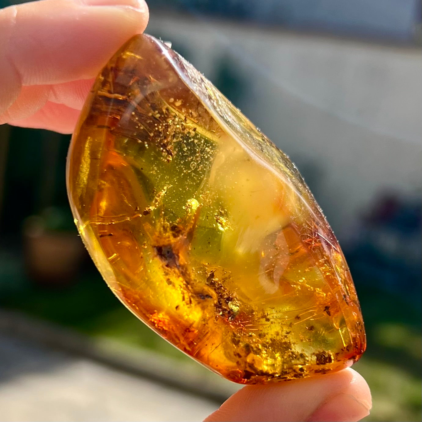 Ambre 3