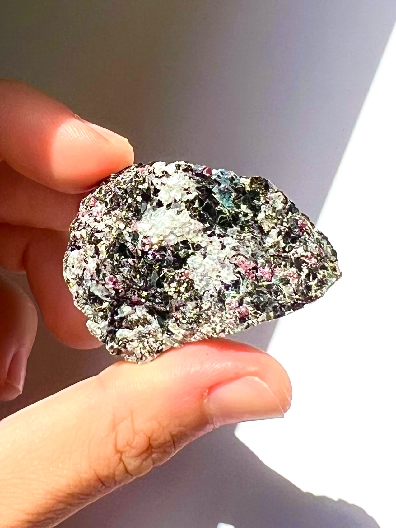 Spécimen Cyanite / Grenat / Biotite / Albite / Quartz 2