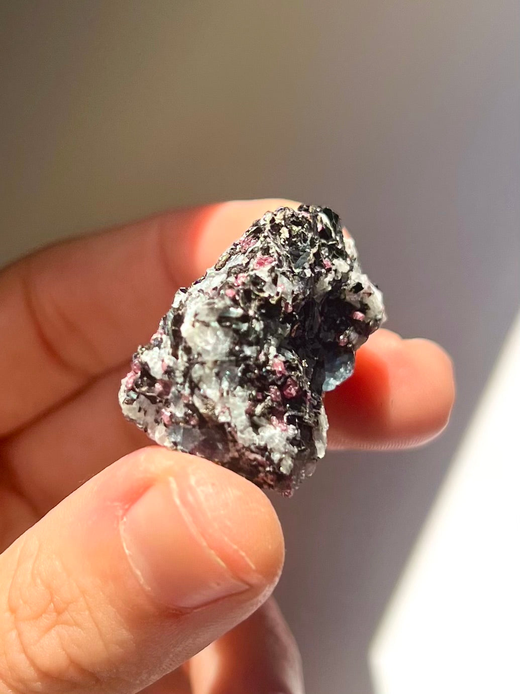Spécimen Cyanite / Grenat / Biotite / Albite / Quartz 12