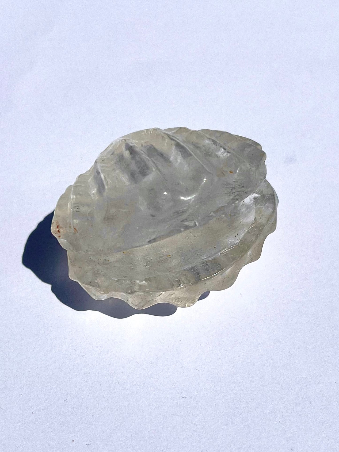 Coquillage en Cristal de roche 2
