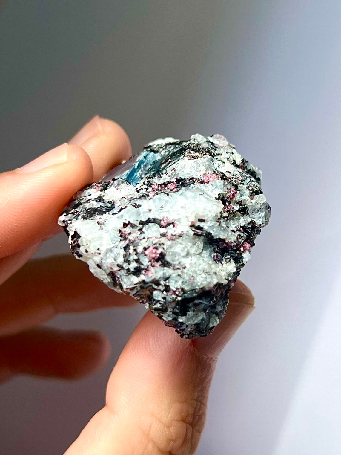 Spécimen Cyanite / Grenat / Biotite / Albite / Quartz 9