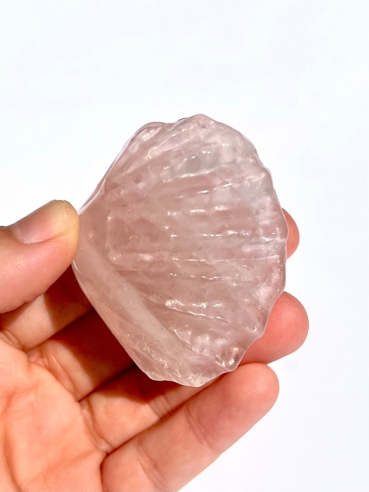Coquillage en Quartz rose 2