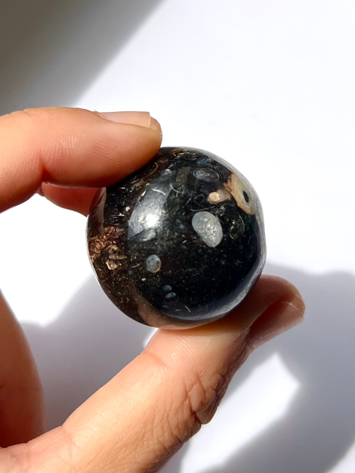 Sphère de Fossile / Agate Turitelle 2