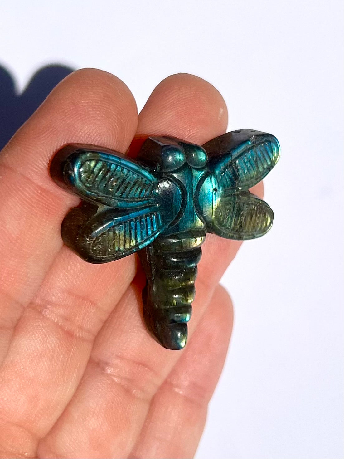 Libellule en Labradorite 5