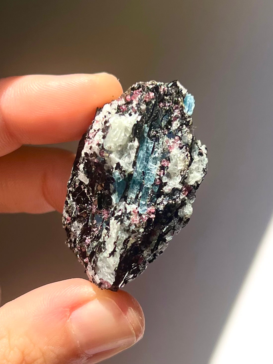 Spécimen Cyanite / Grenat / Biotite / Albite / Quartz 12