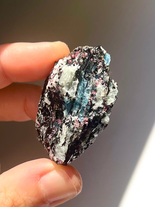 Spécimen Cyanite / Grenat / Biotite / Albite / Quartz 12