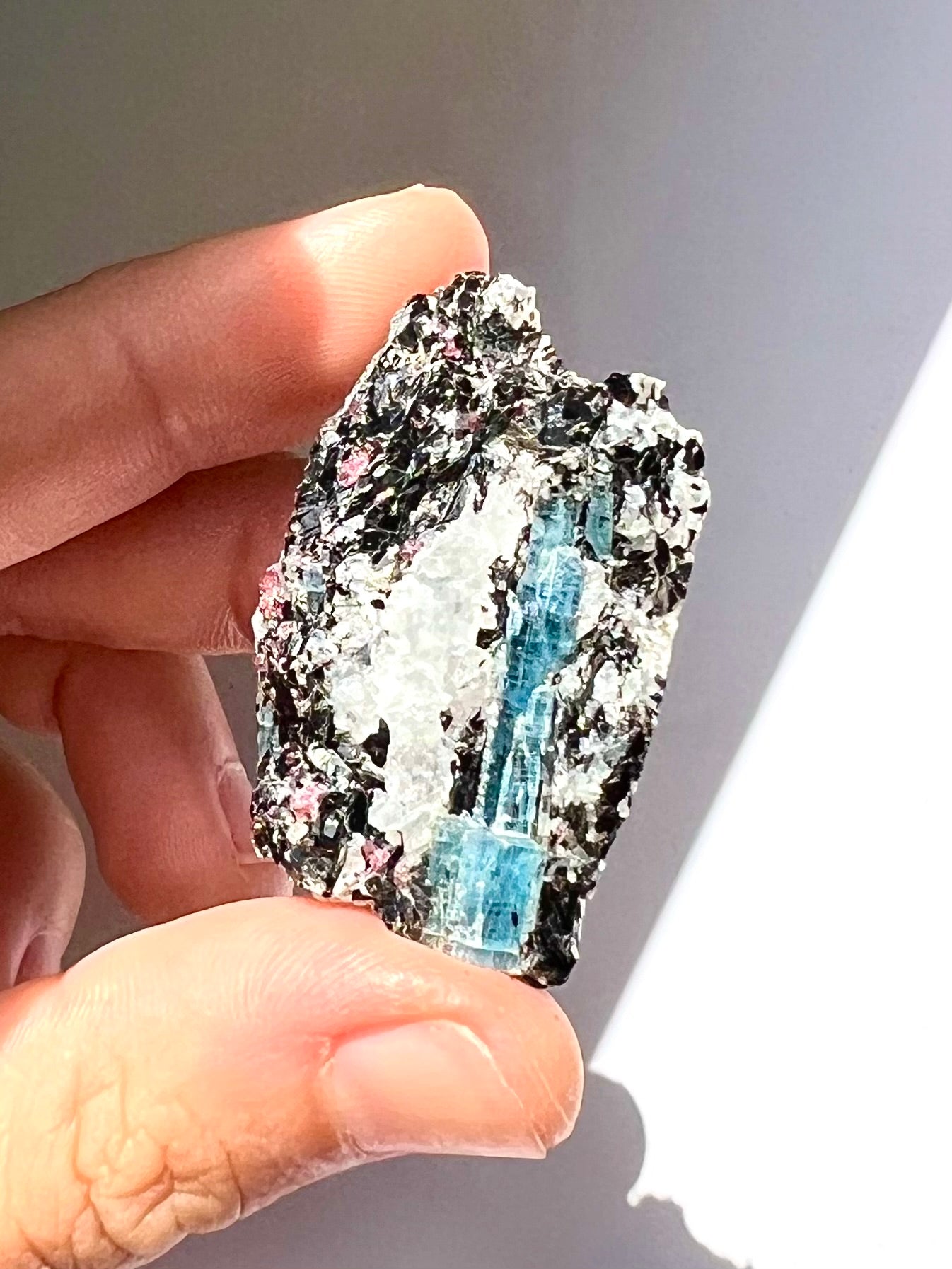Spécimen Cyanite / Grenat / Biotite / Albite / Quartz 1