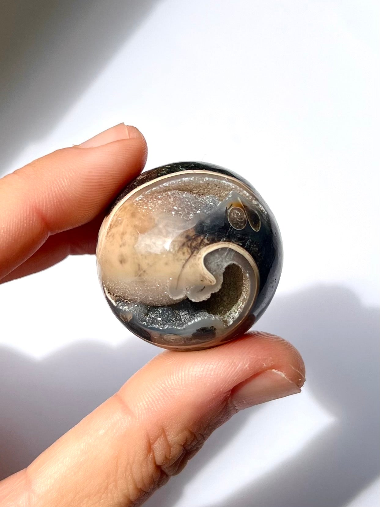 Sphère de Fossile / Agate Turitelle 2