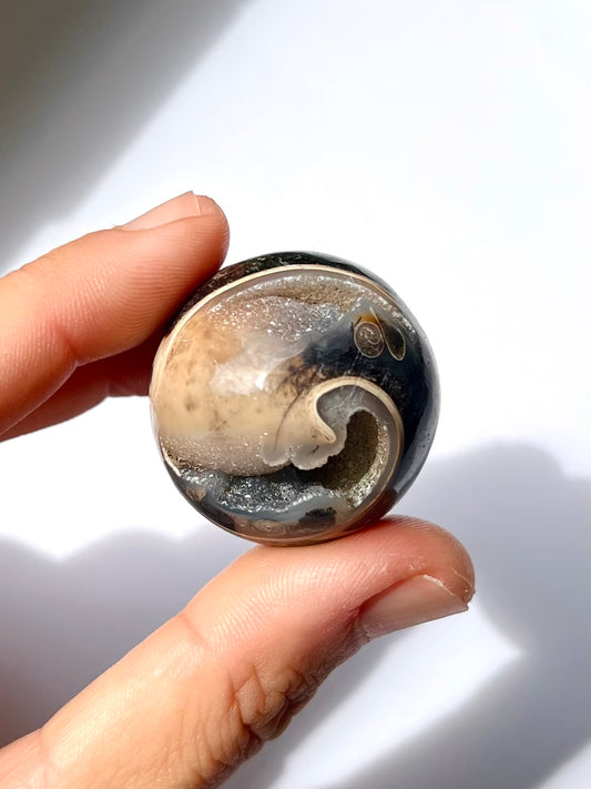 Sphère de Fossile / Agate Turitelle 2