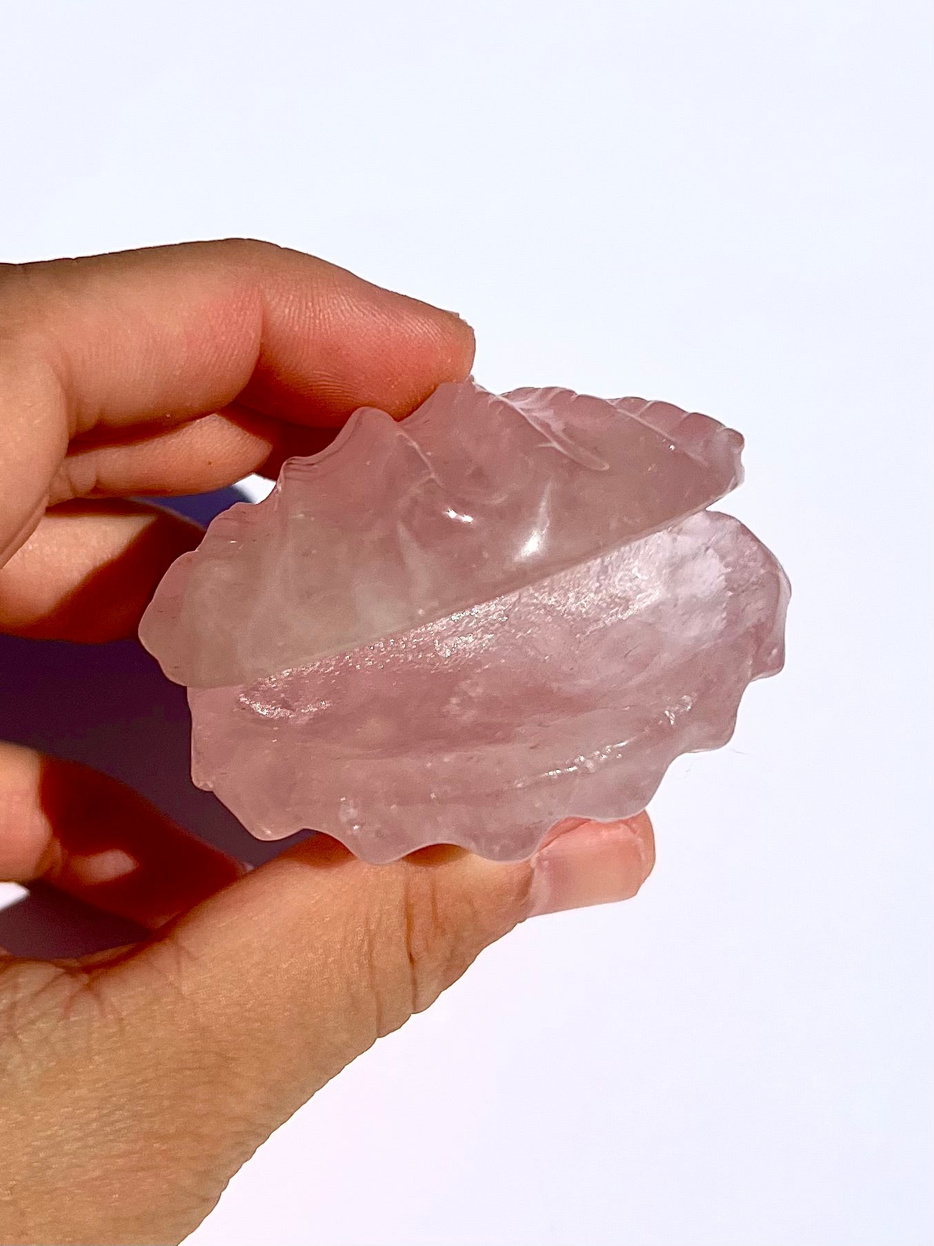 Coquillage en Quartz rose 1
