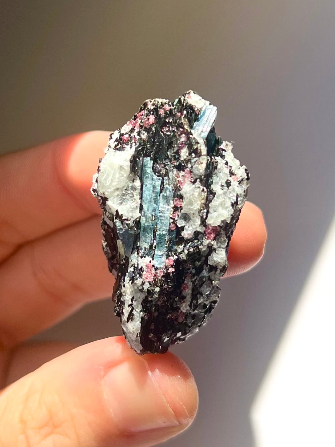 Spécimen Cyanite / Grenat / Biotite / Albite / Quartz 12