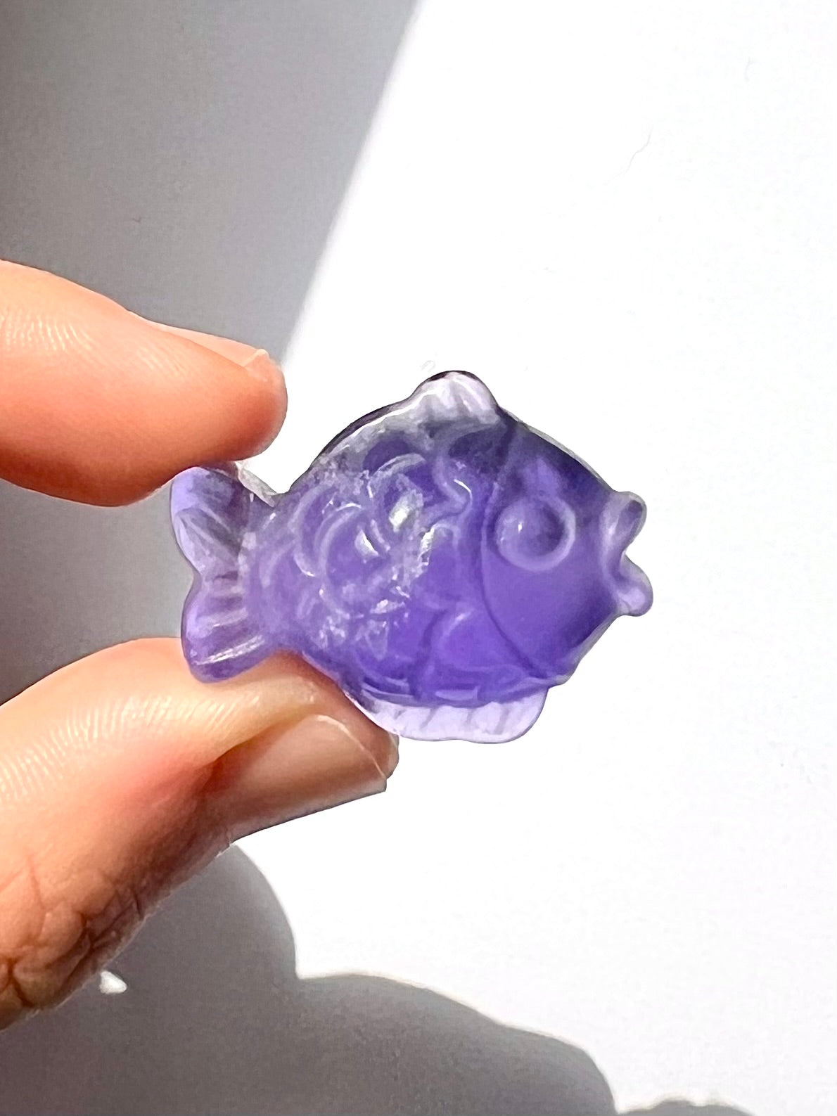 Poisson de Fluorite 1