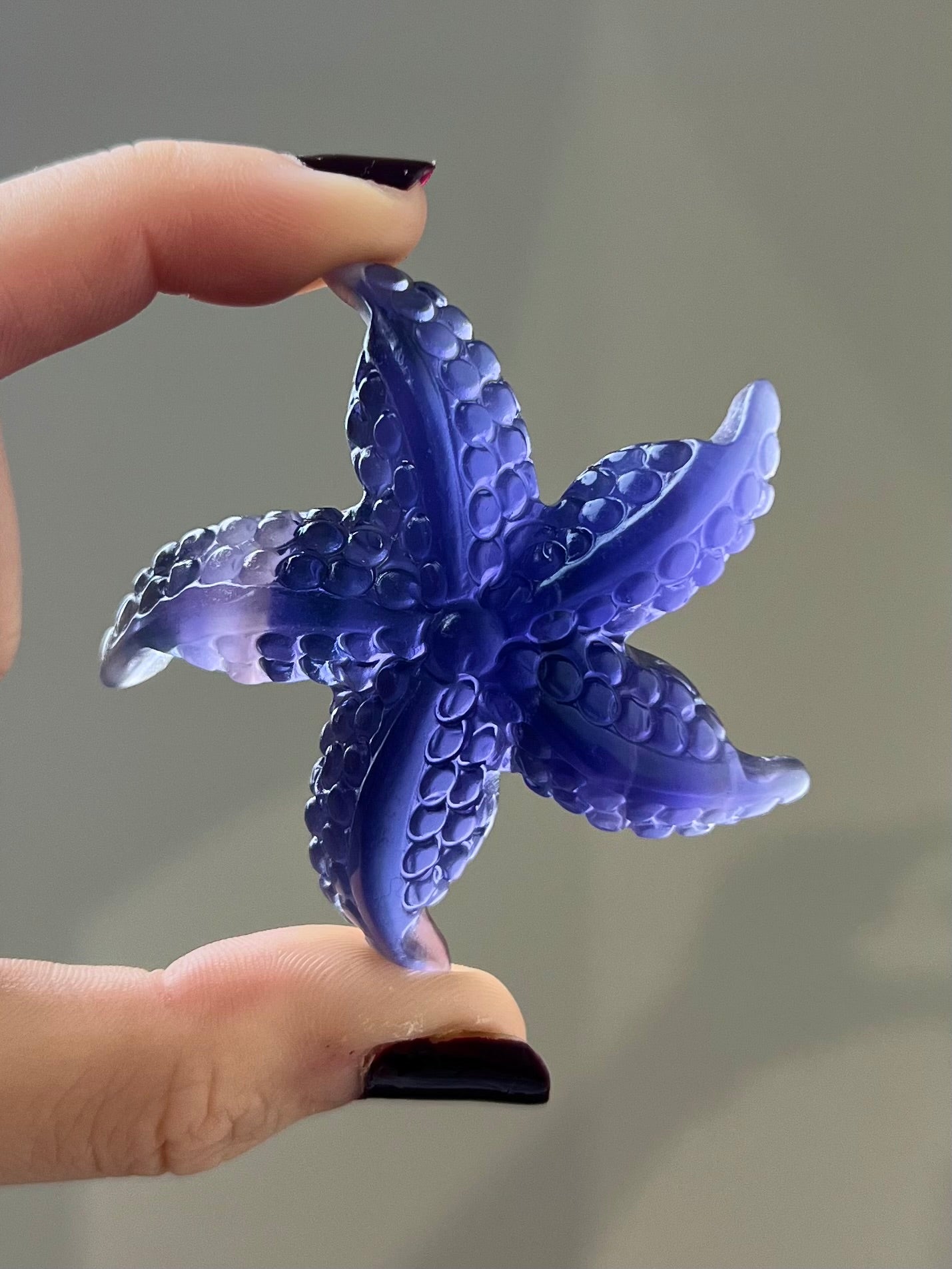 Étoile de mer en Fluorite 3