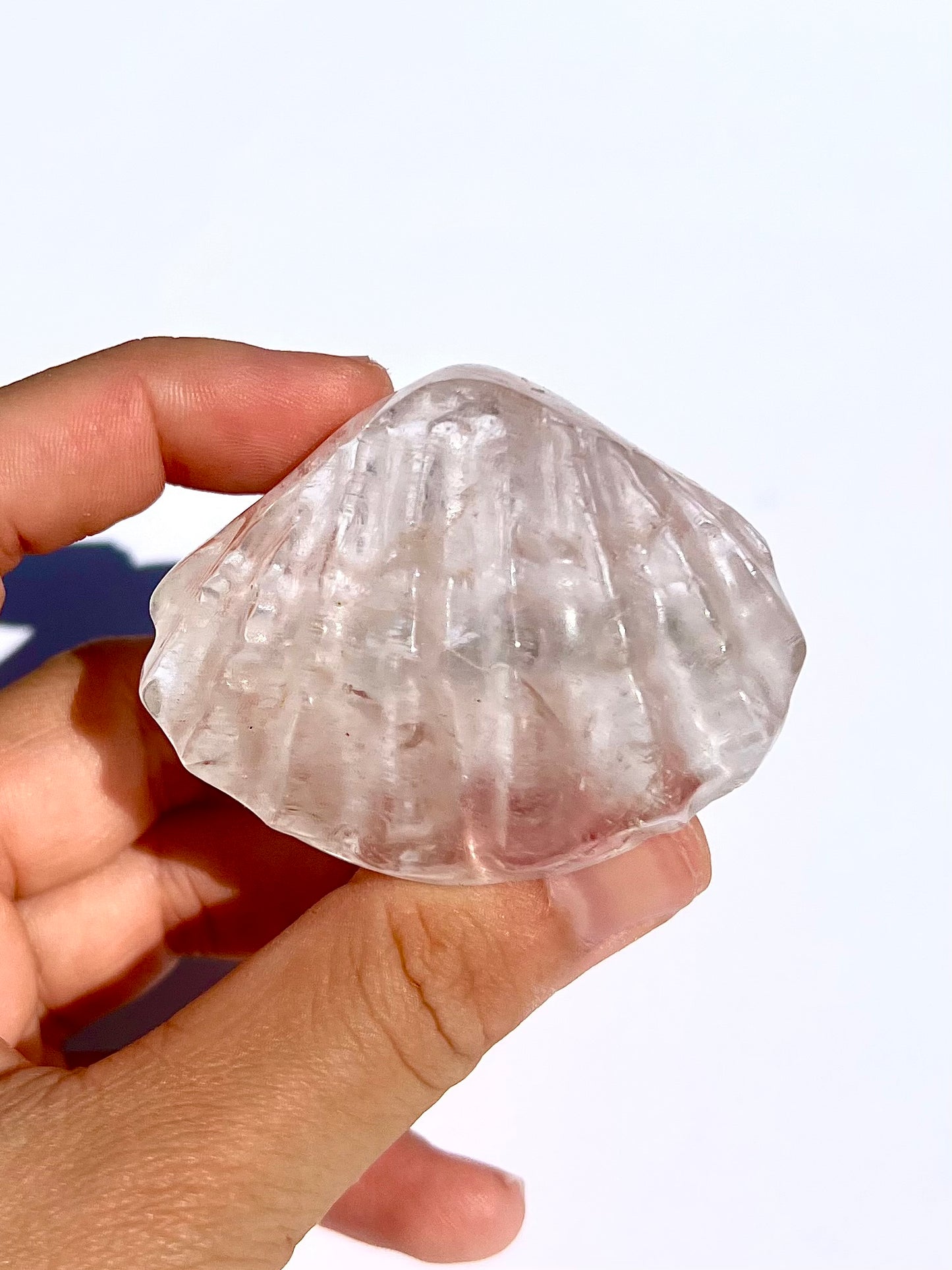 Coquillage en Cristal de roche 2
