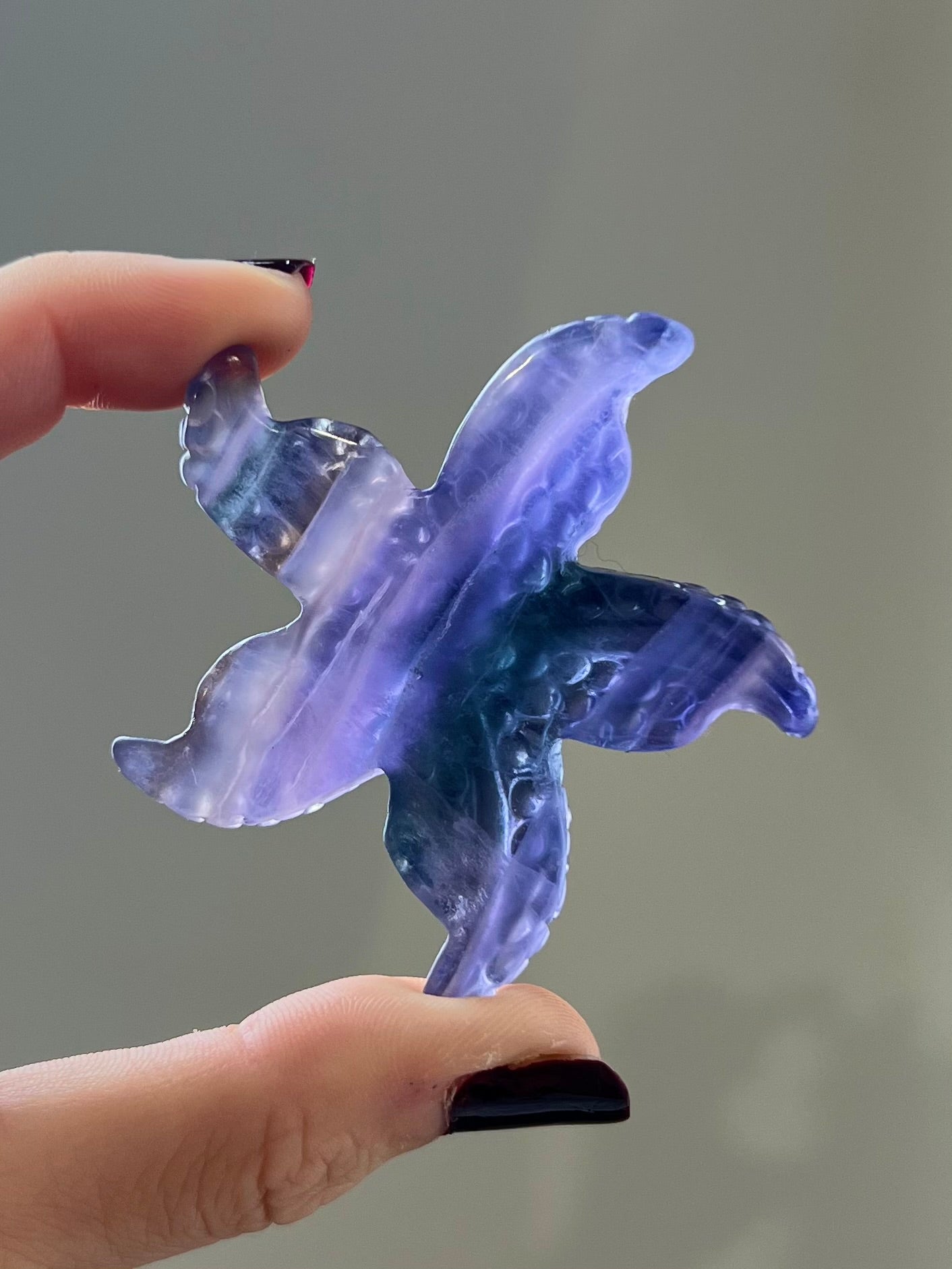 Étoile de mer en Fluorite 1