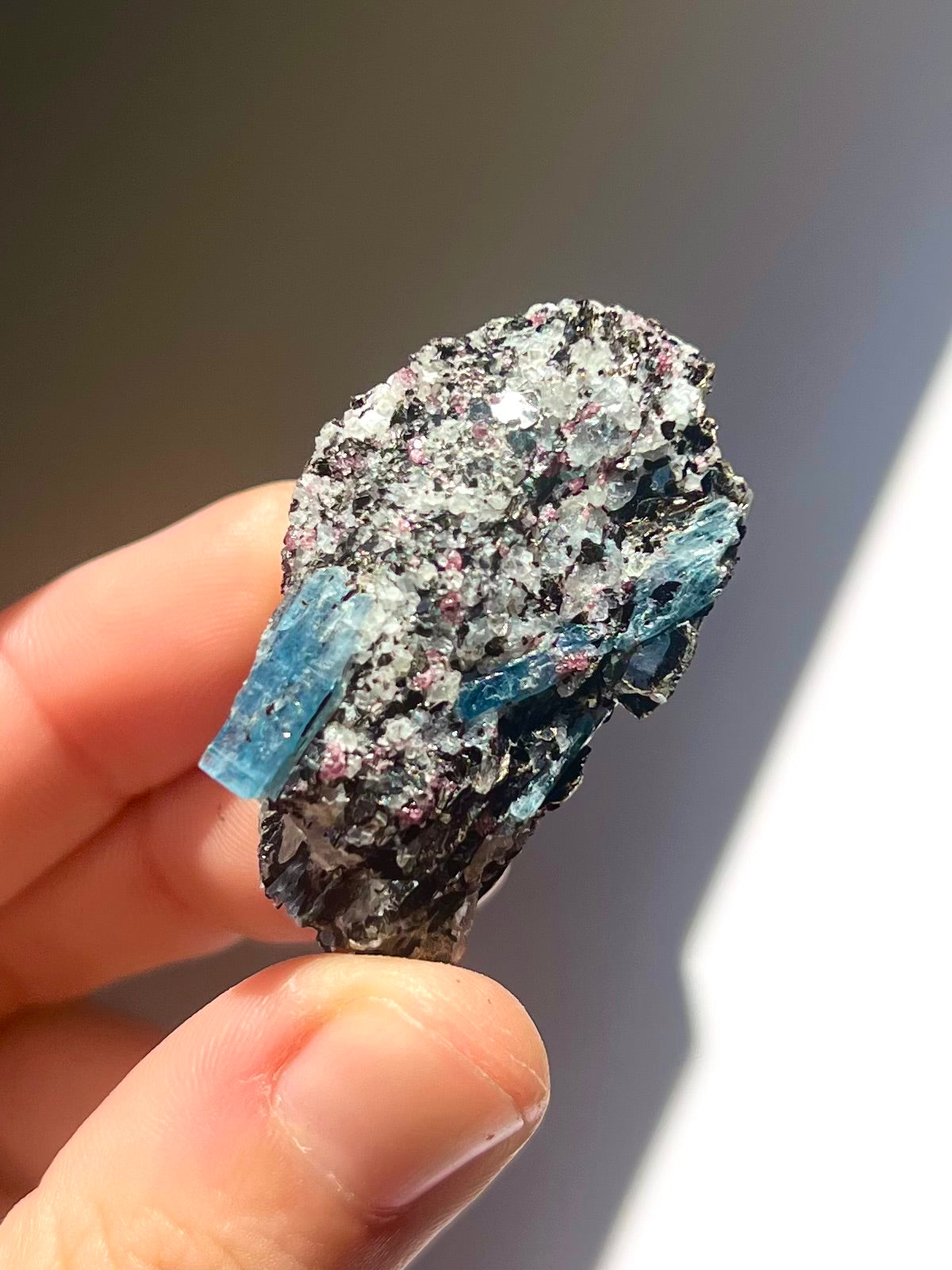 Spécimen Cyanite / Grenat / Biotite / Albite / Quartz 11