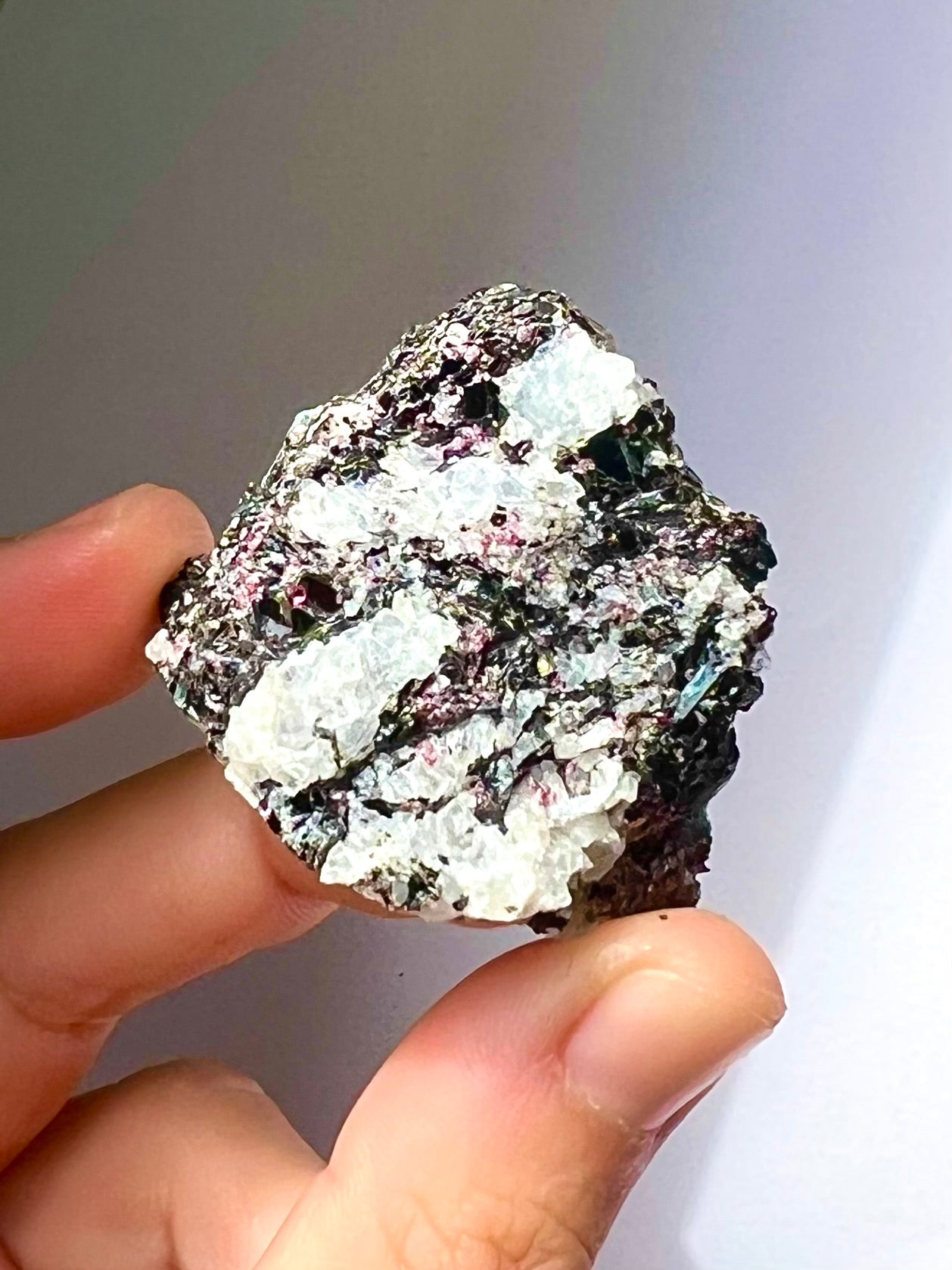 Spécimen Cyanite / Grenat / Biotite / Albite / Quartz 5